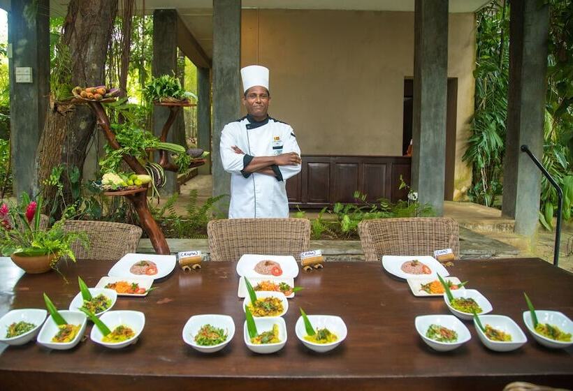 酒店 Roman Lake Ayurveda Resort