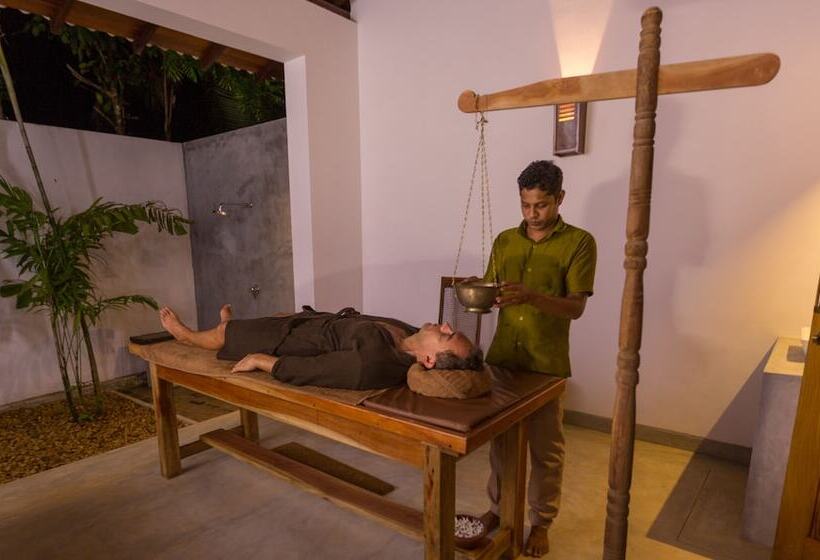 酒店 Roman Lake Ayurveda Resort