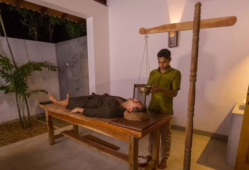 Отель Roman Lake Ayurveda Resort