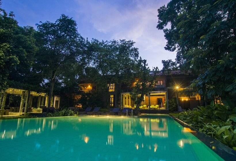 酒店 Roman Lake Ayurveda Resort