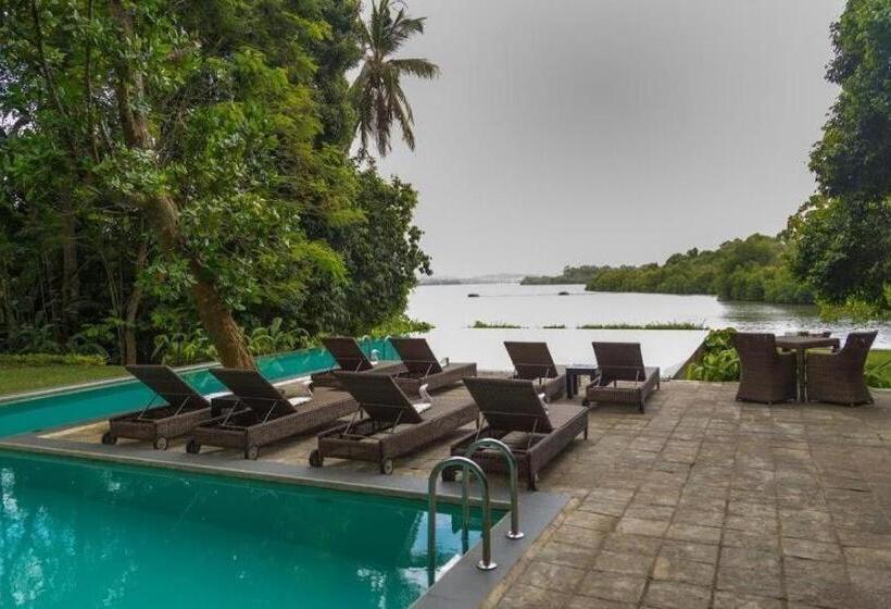 酒店 Roman Lake Ayurveda Resort