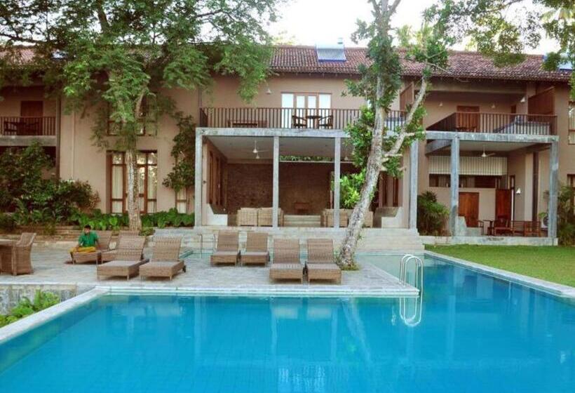 酒店 Roman Lake Ayurveda Resort