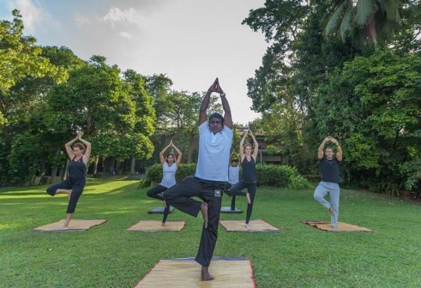 酒店 Roman Lake Ayurveda Resort