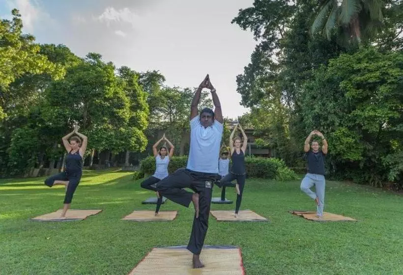 Отель Roman Lake Ayurveda Resort