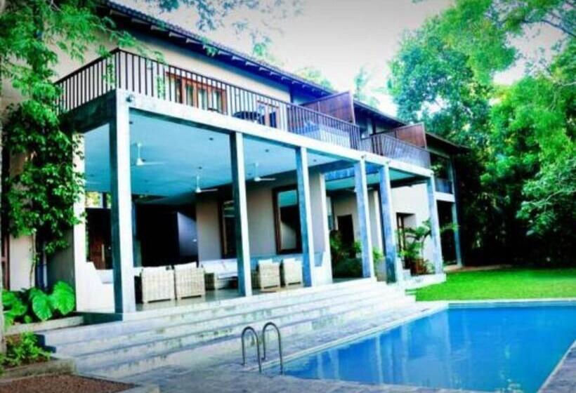 酒店 Roman Lake Ayurveda Resort