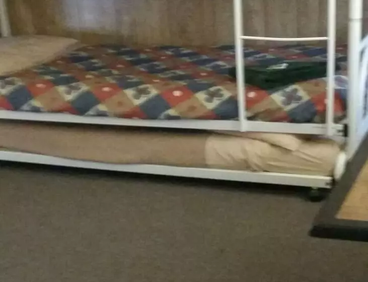 ホテル William Creek Camp Ground & Units