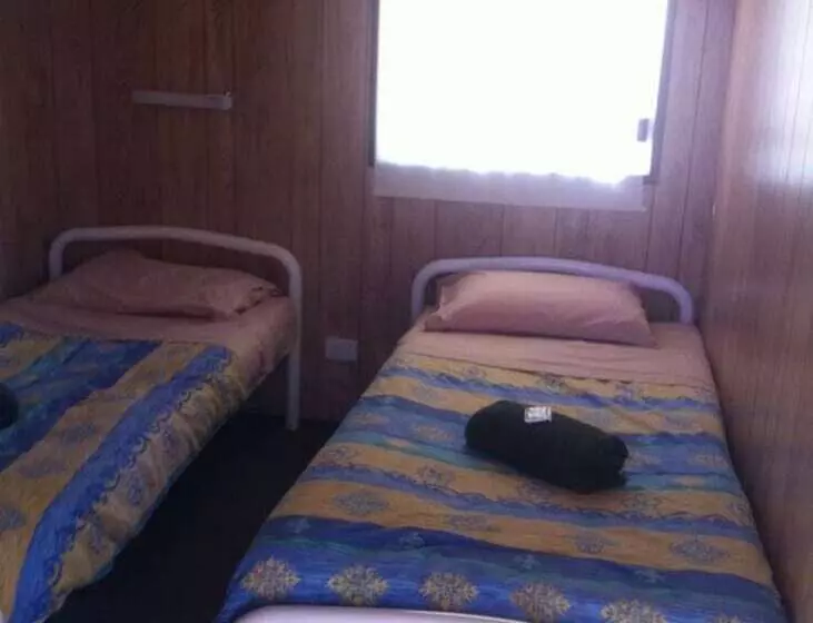 ホテル William Creek Camp Ground & Units