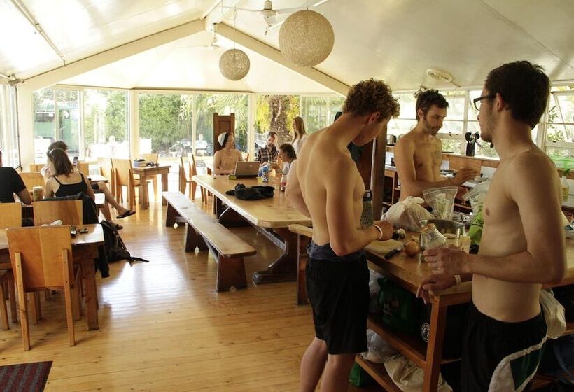 Paradiso Backpacker Hostel