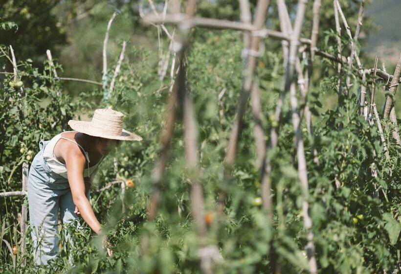 فندق Nafarrola Gastronomy & Wine