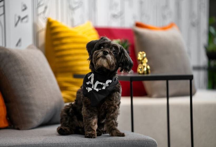 فندق Aloft New York Chelsea