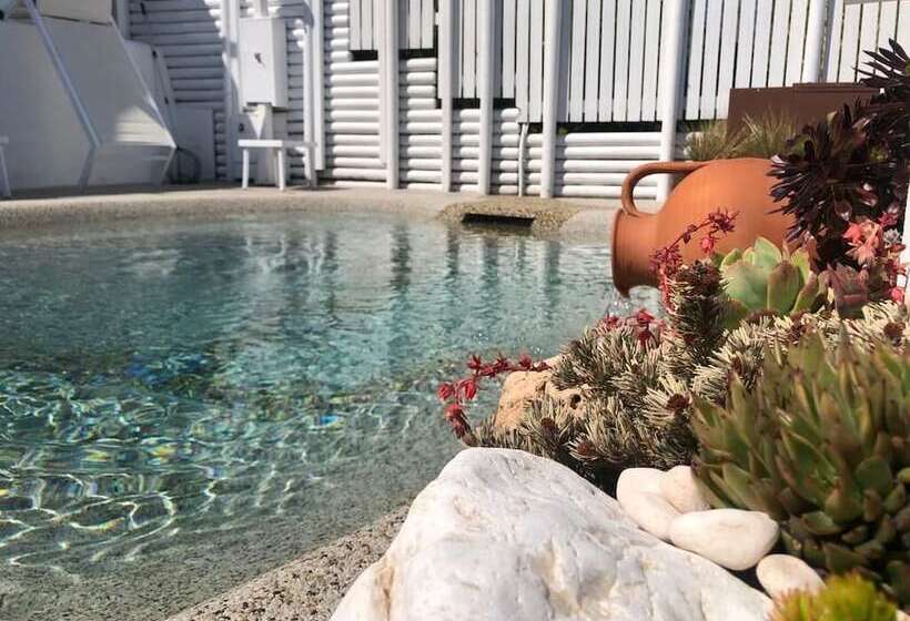 Bed & Breakfast Pharus Miseni