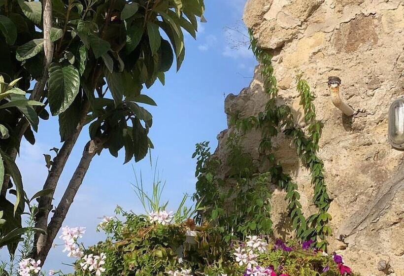 Bed & Breakfast Pharus Miseni