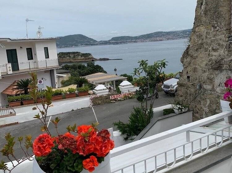 Bed & Breakfast Pharus Miseni