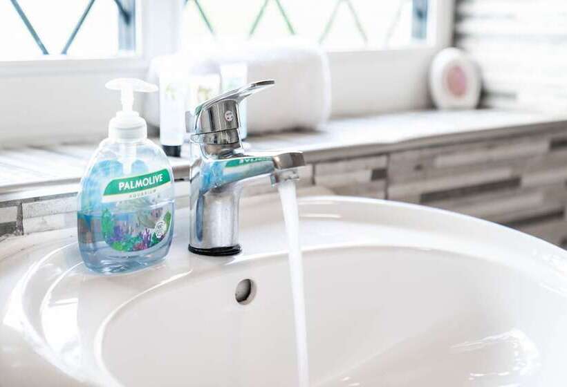 Family Home With Garden In Prime Birmingham Location