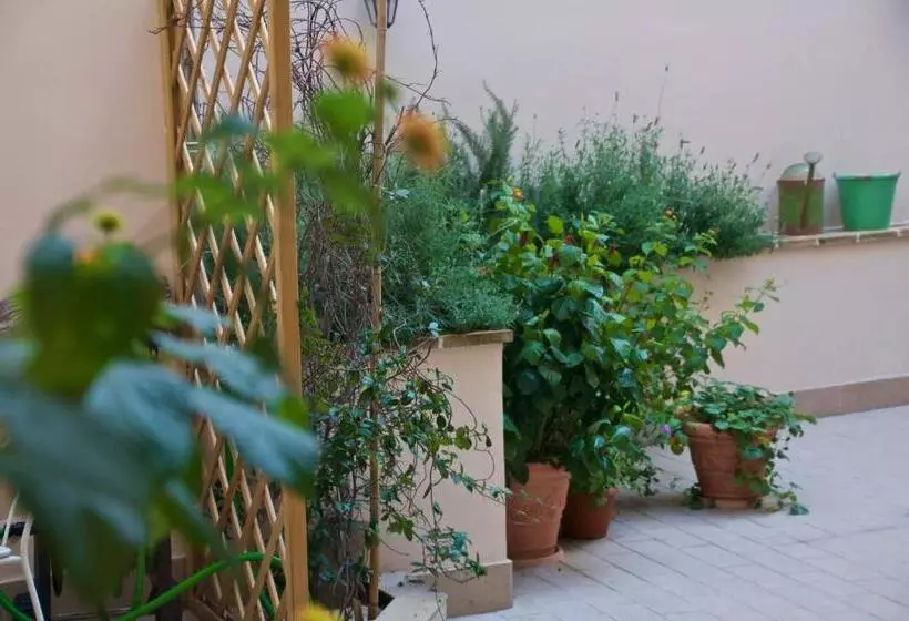 تختخواب و صبحانه Cas'e Charming House