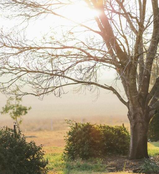 Bed and Breakfast Strathearn Park Lodge