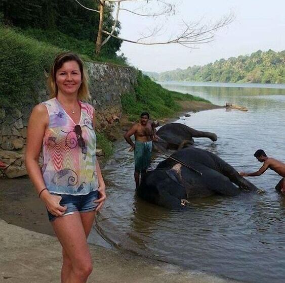 בית מלון כפרי Dewland