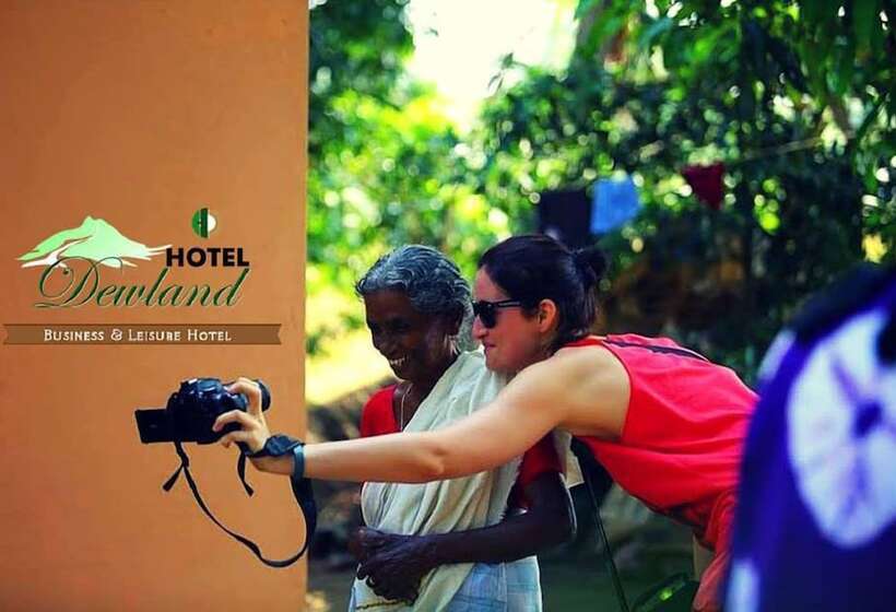 בית מלון כפרי Dewland