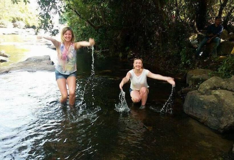 בית מלון כפרי Dewland