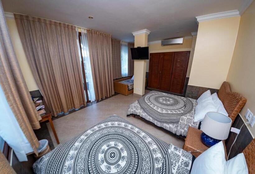 Отель Dharma Beach