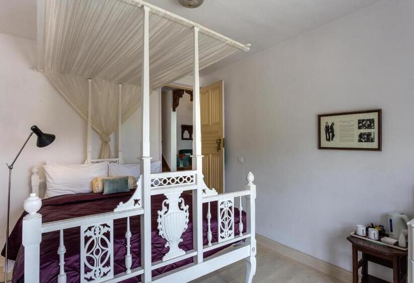 בית מלון כפרי Te Aroha By Shervani