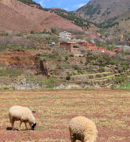 بنسيون Tamatert Guest House