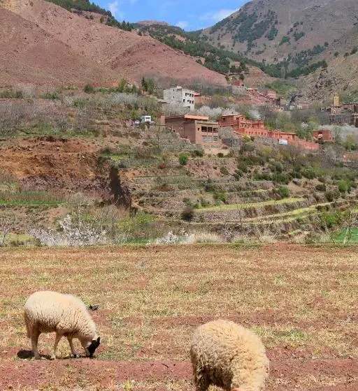 بنسيون Tamatert Guest House