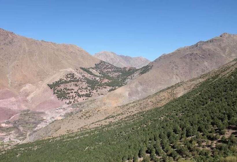 بنسيون Tamatert Guest House