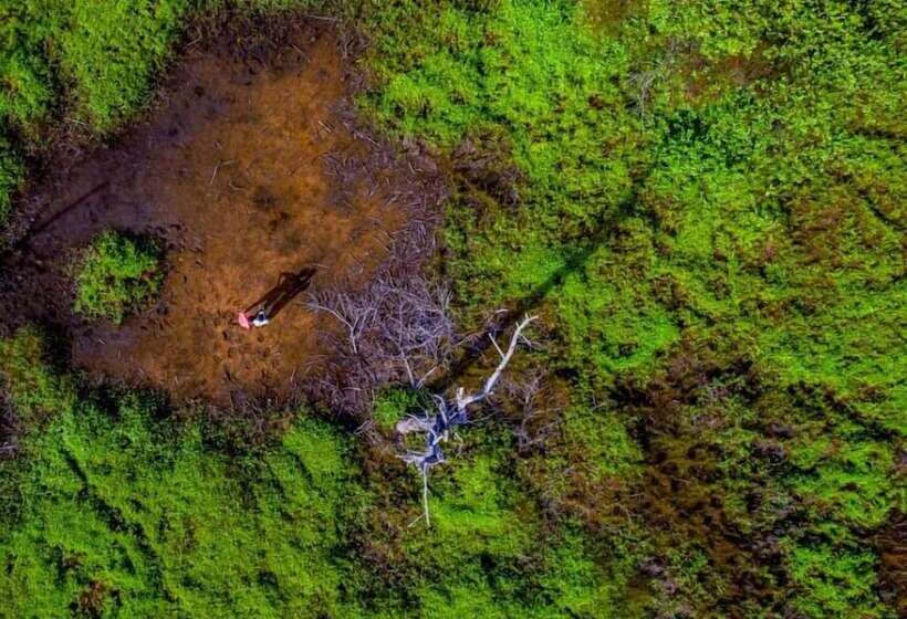 هتل Palmrest Kaashidhoo Maldives