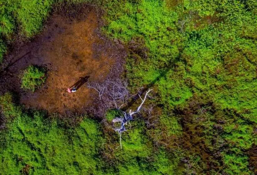 هتل Palmrest Kaashidhoo Maldives