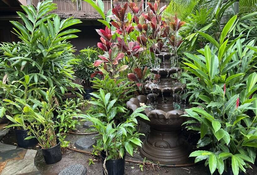 Bed and Breakfast Guava Suite