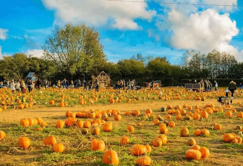 Aamiaismajoitus (B&B) Trading Boundaries