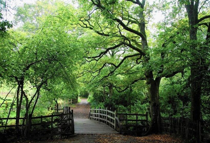 ベッドアンドブレックファースト Trading Boundaries