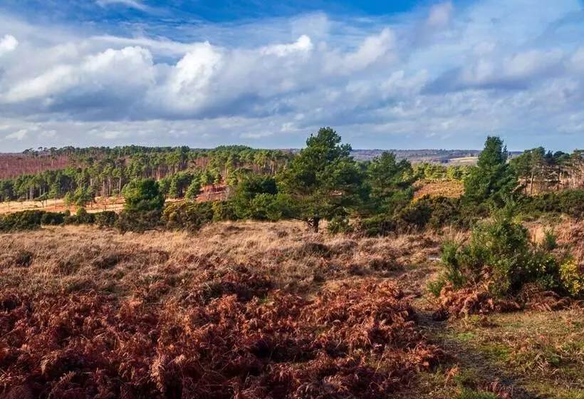 Aamiaismajoitus (B&B) Trading Boundaries