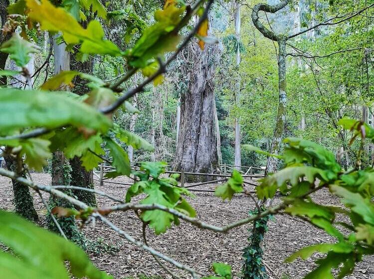Duerming Ría De Viveiro Apartamentos