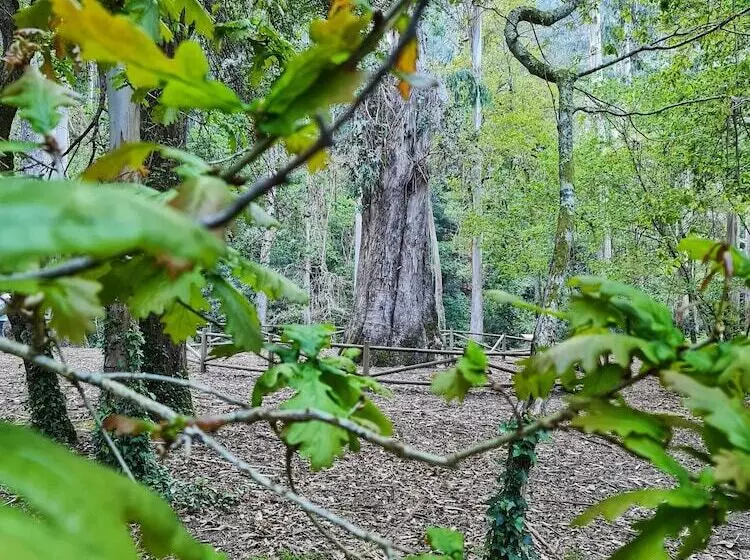 Duerming Ría De Viveiro Apartamentos