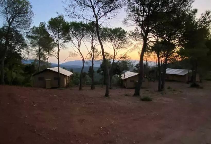 ホテル Glamping Vall De Codó