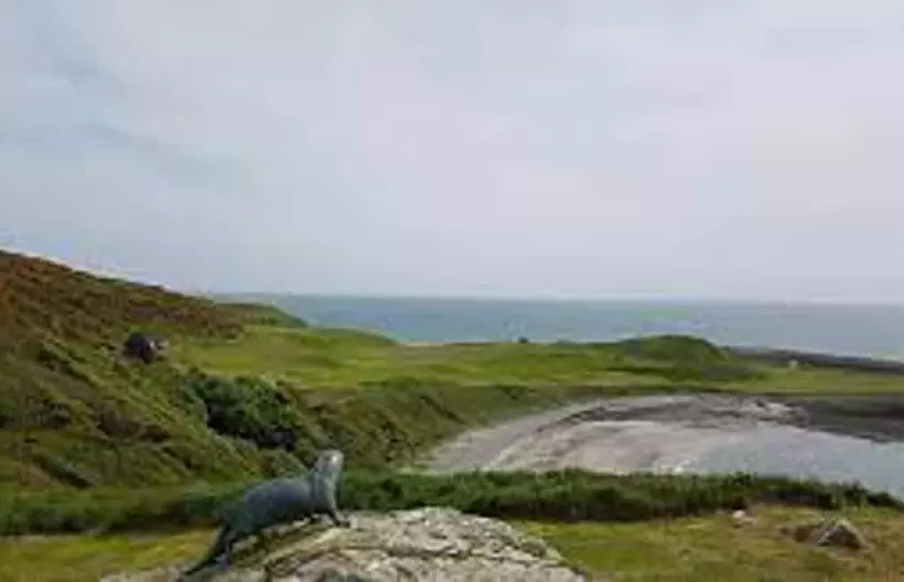 Hotelli Immaculate 2 Bed Static Caravan At Monrieth