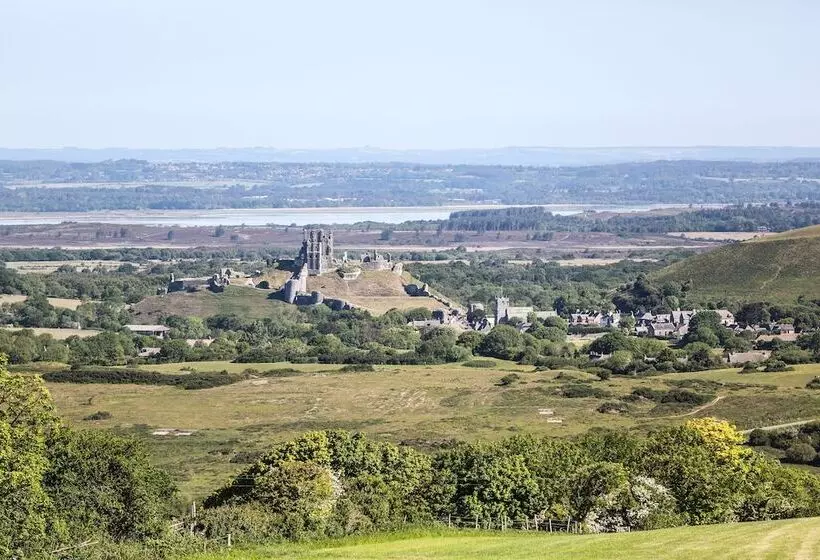 ホテル Kingston Country Courtyard