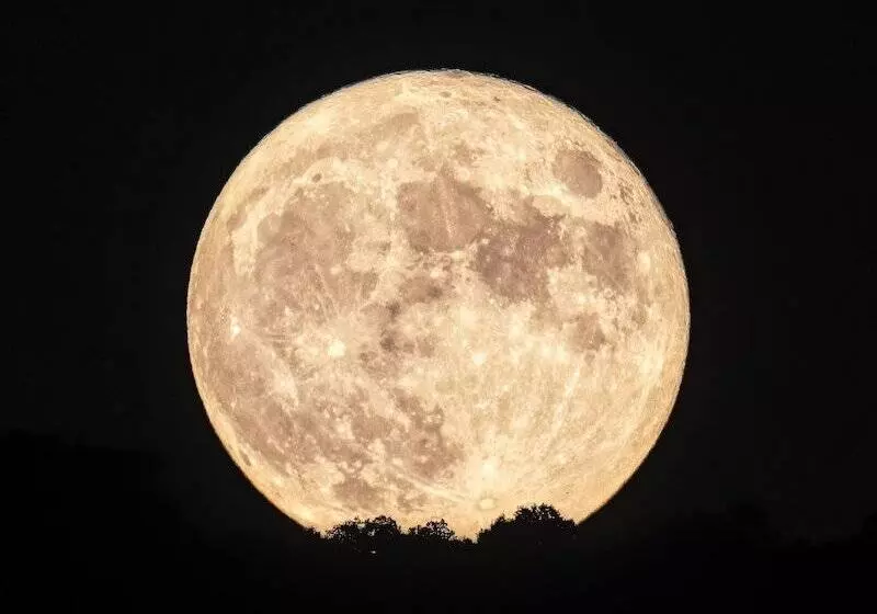 Hotelli The Grand Canyon Headquarters