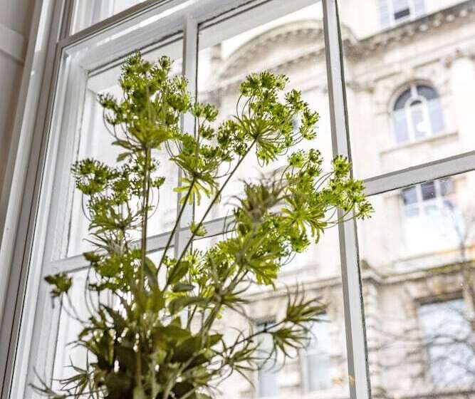 فندق Wilton House