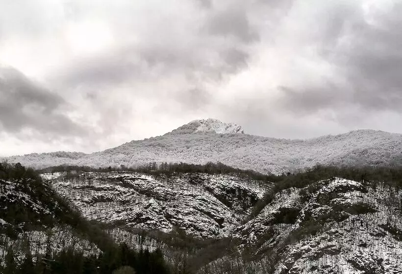 Narciso B&b Valbrona