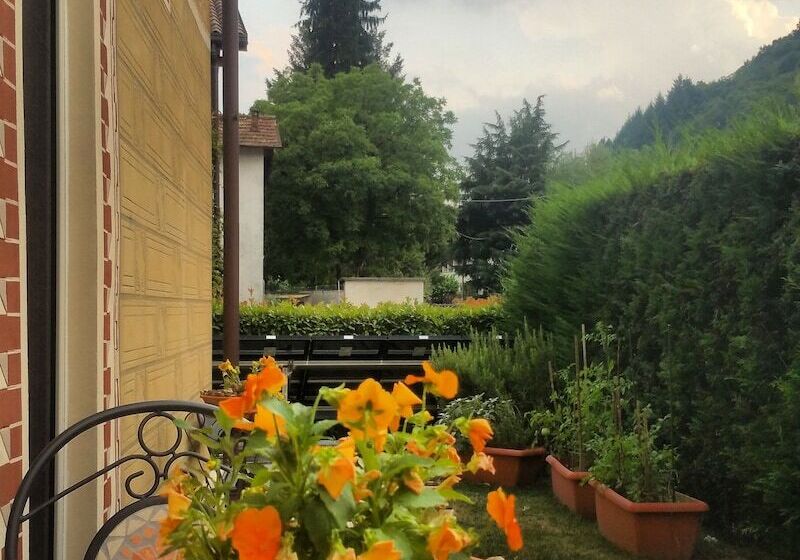 Narciso B&b Valbrona