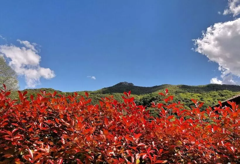 Narciso B&b Valbrona