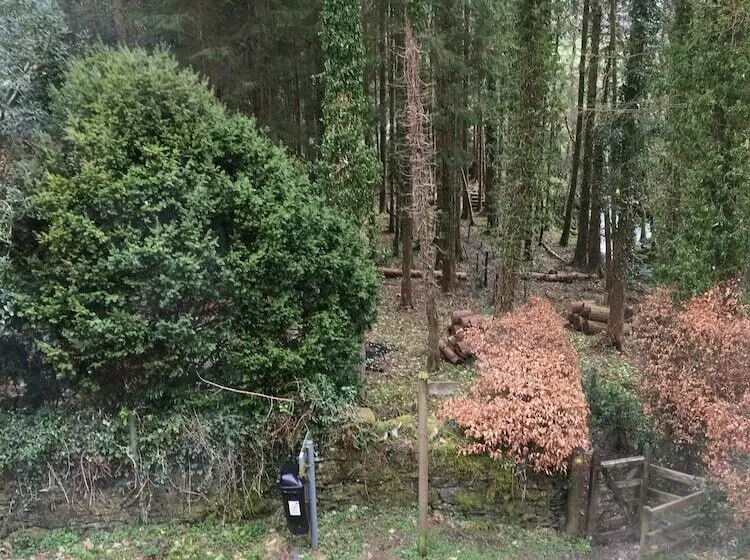 レジデンス Talcomb Holiday Cottage Thornthwaite Keswick