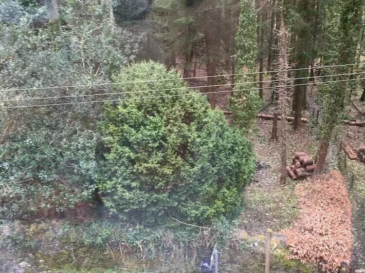 レジデンス Talcomb Holiday Cottage Thornthwaite Keswick