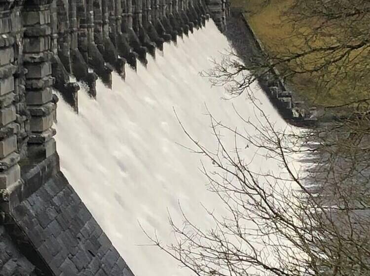 レジデンス Tranquil 3 Bed Cottage Near Lake Vyrnwy