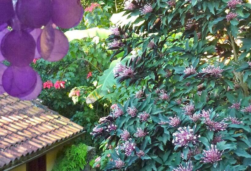 住宿加早餐 Aratinga Inn