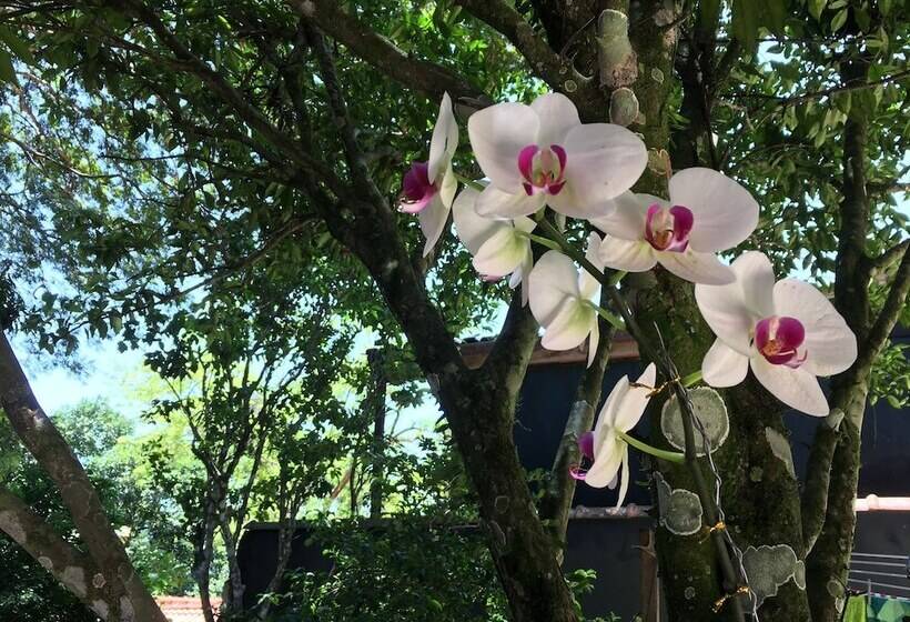 住宿加早餐 Aratinga Inn