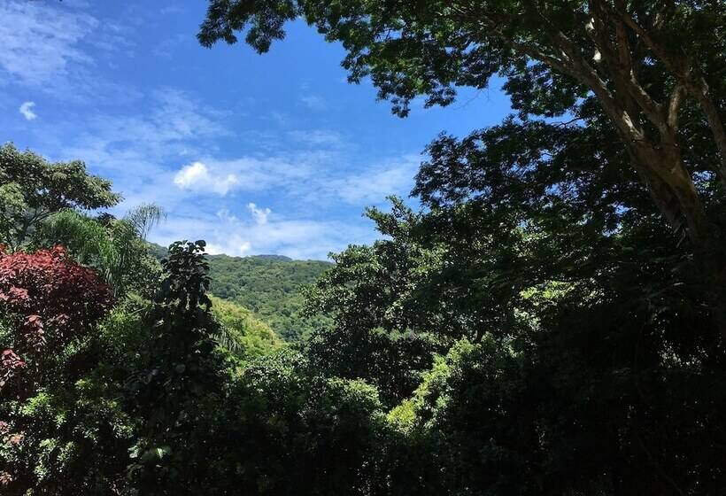 住宿加早餐 Aratinga Inn